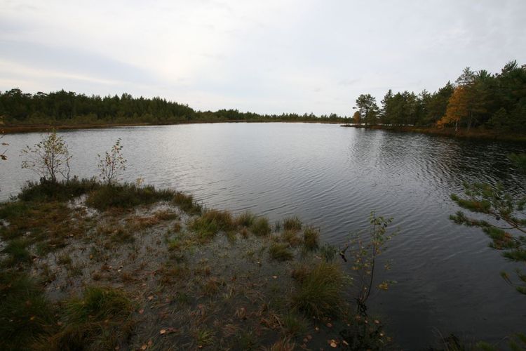 Maakond: Harjumaa Veekogu nimi: Soeotsa Mustjärv Pildistamise aeg: 26. september 2008 Pildistaja: H. Timm Pildistamise koht: teadmata Asimuut: