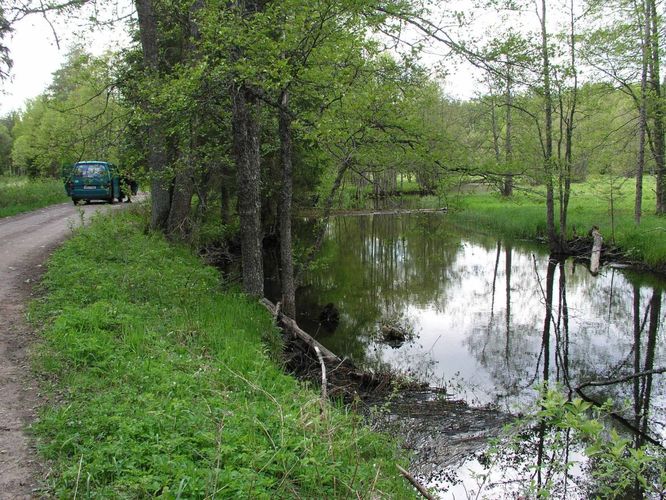 Maakond: Harjumaa Veekogu nimi: Soodla jõgi Pildistamise aeg: 24. mai 2004 Pildistaja: H. Timm Pildistamise koht: Paukjärve sillalt Asimuut: