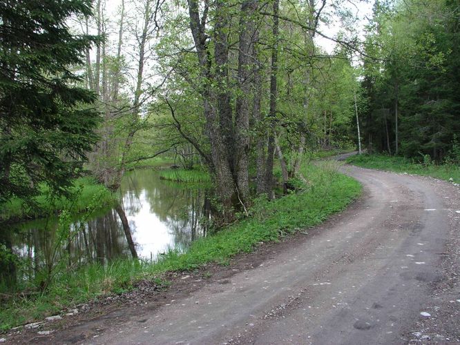 Maakond: Harjumaa Veekogu nimi: Soodla jõgi Pildistamise aeg: 24. mai 2004 Pildistaja: H. Timm Pildistamise koht: Paukjärve sillalt Asimuut: