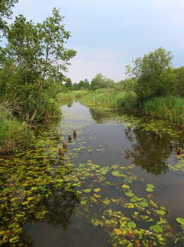 Maakond: Harjumaa Veekogu nimi: Soodla jõgi Pildistamise aeg: august 2010 Pildistaja: H. Timm Pildistamise koht: Koersillalt Asimuut: