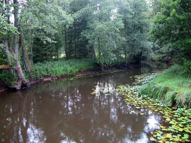 Maakond: Harjumaa Veekogu nimi: Soodla jõgi Pildistamise aeg: august 2010 Pildistaja: H. Timm Pildistamise koht: Koitjärve sillalt Asimuut: