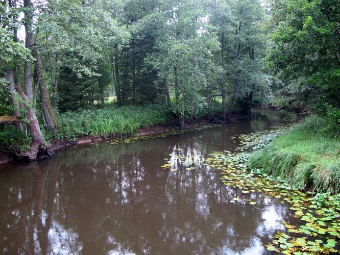 Maakond: Harjumaa Veekogu nimi: Soodla jõgi Pildistamise aeg: august 2010 Pildistaja: H. Timm Pildistamise koht: Koitjärve sillalt Asimuut: