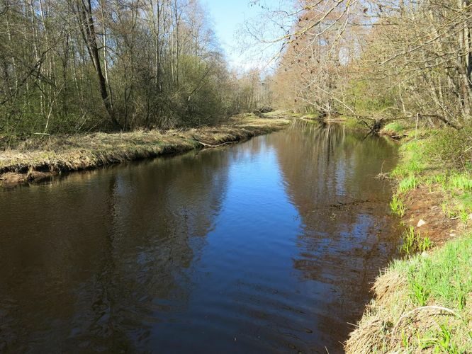 Maakond: Harjumaa Veekogu nimi: Soodla jõgi Pildistamise aeg: 27. aprill 2014 Pildistaja: H. Timm Pildistamise koht: alamjooks Asimuut: