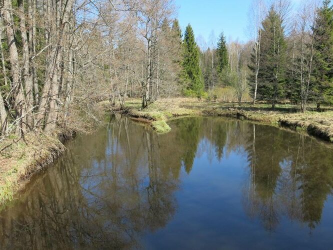 Maakond: Harjumaa Veekogu nimi: Soodla jõgi Pildistamise aeg: 27. aprill 2014 Pildistaja: H. Timm Pildistamise koht: Koitjärve Asimuut: