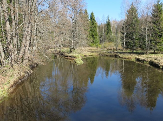 Maakond: Harjumaa Veekogu nimi: Soodla jõgi Pildistamise aeg: 27. aprill 2014 Pildistaja: H. Timm Pildistamise koht: Koitjärve Asimuut: