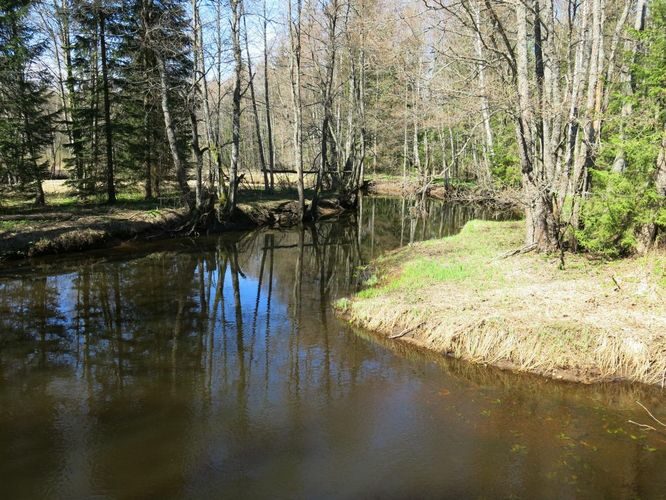 Maakond: Harjumaa Veekogu nimi: Soodla jõgi Pildistamise aeg: 27. aprill 2014 Pildistaja: H. Timm Pildistamise koht: Koitjärve Asimuut: