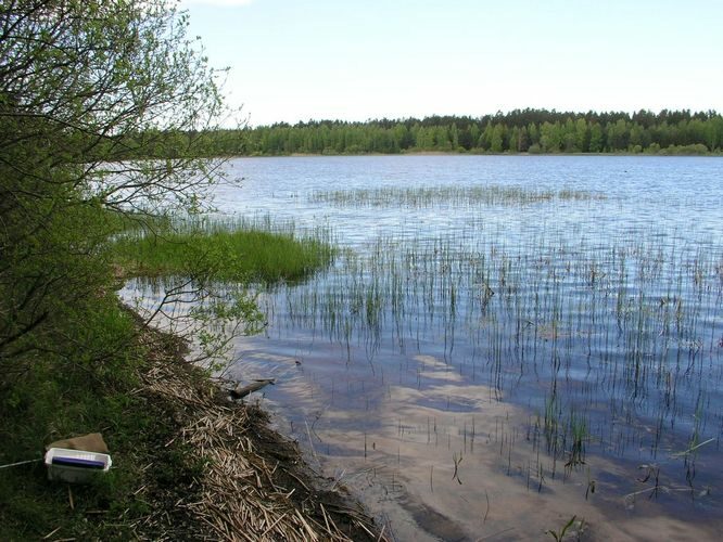 Maakond: Harjumaa Veekogu nimi: Soodla veehoidla Pildistamise aeg: 19. mai 2008 Pildistaja: H. Timm Pildistamise koht: teadmata Asimuut: