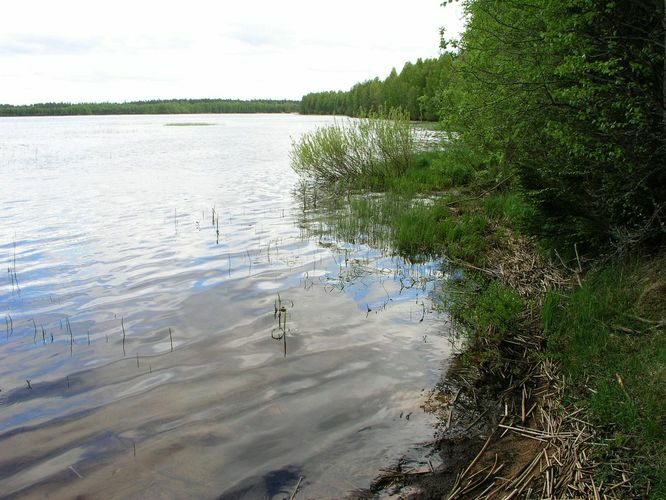 Maakond: Harjumaa Veekogu nimi: Soodla veehoidla Pildistamise aeg: 19. mai 2008 Pildistaja: H. Timm Pildistamise koht: teadmata Asimuut: