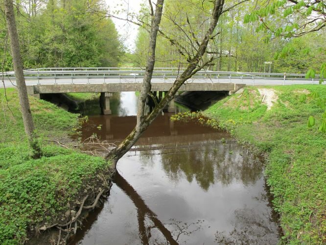 Maakond: Hiiumaa Veekogu nimi: Suuremõisa jõgi Pildistamise aeg: 16. mai 2011 Pildistaja: H. Timm Pildistamise koht: teadmata Asimuut: