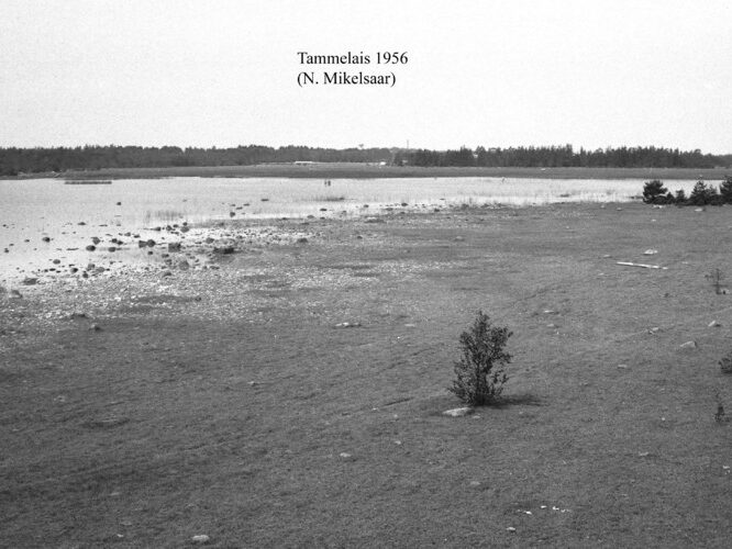 Maakond: Hiiumaa Veekogu nimi: Tammelais Pildistamise aeg: 1956 Pildistaja: N. Mikelsaar Pildistamise koht: teadmata Asimuut: