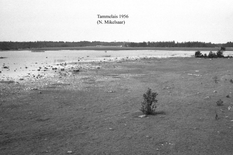 Maakond: Hiiumaa Veekogu nimi: Tammelais Pildistamise aeg: 1956 Pildistaja: N. Mikelsaar Pildistamise koht: teadmata Asimuut: