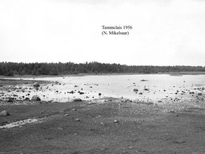 Maakond: Hiiumaa Veekogu nimi: Tammelais Pildistamise aeg: 1956 Pildistaja: N. Mikelsaar Pildistamise koht: teadmata Asimuut: