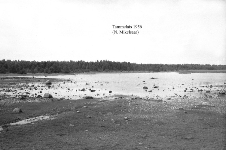 Maakond: Hiiumaa Veekogu nimi: Tammelais Pildistamise aeg: 1956 Pildistaja: N. Mikelsaar Pildistamise koht: teadmata Asimuut: