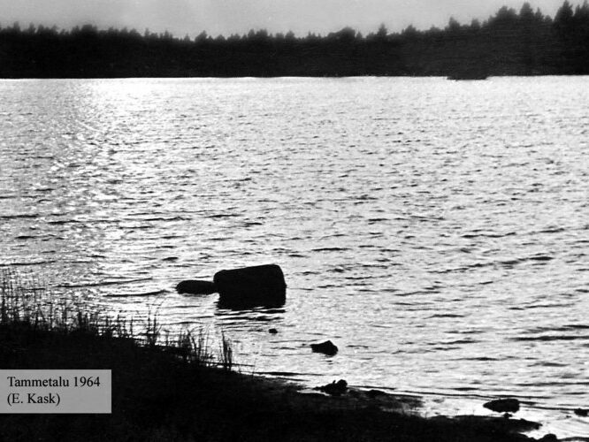 Maakond: Harjumaa Veekogu nimi: Tammetalu järv Pildistamise aeg: 1964 Pildistaja: E. Kask (Eesti Looduse arhiiv) Pildistamise koht: teadmata Asimuut: