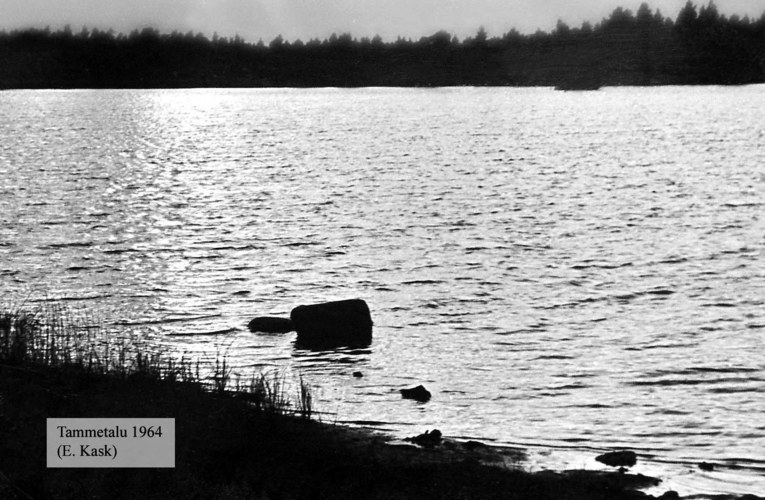 Maakond: Harjumaa Veekogu nimi: Tammetalu järv Pildistamise aeg: 1964 Pildistaja: E. Kask (Eesti Looduse arhiiv) Pildistamise koht: teadmata Asimuut: