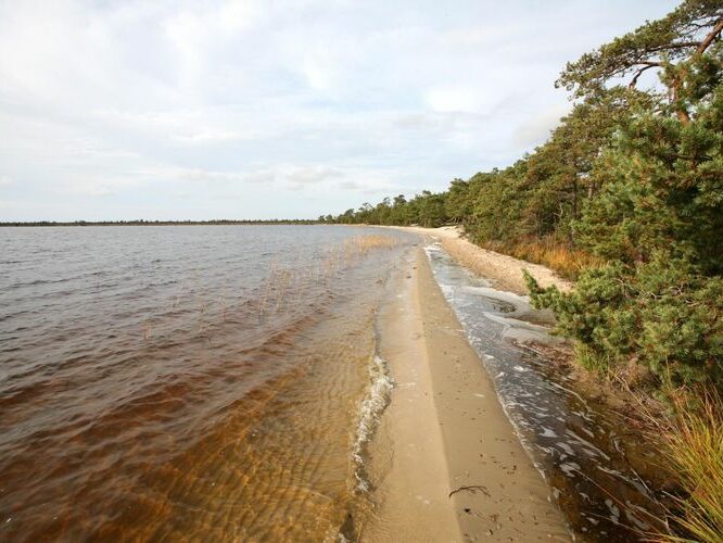 Maakond: Harjumaa Veekogu nimi: Tänavjärv Pildistamise aeg: 26. september 2008 Pildistaja: H. Timm Pildistamise koht: teadmata Asimuut: