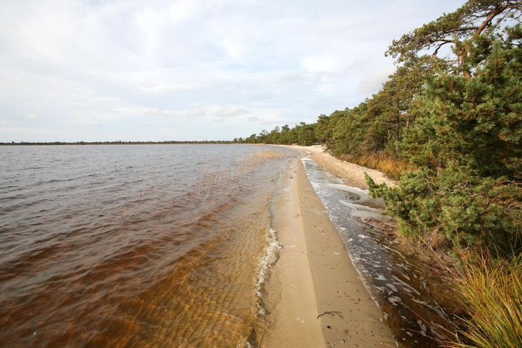 Maakond: Harjumaa Veekogu nimi: Tänavjärv Pildistamise aeg: 26. september 2008 Pildistaja: H. Timm Pildistamise koht: teadmata Asimuut: