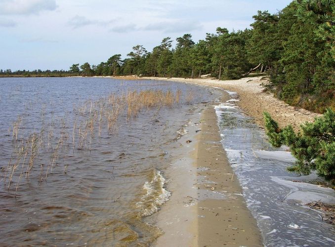 Maakond: Harjumaa Veekogu nimi: Tänavjärv Pildistamise aeg: 26. september 2008 Pildistaja: H. Timm Pildistamise koht: teadmata Asimuut: