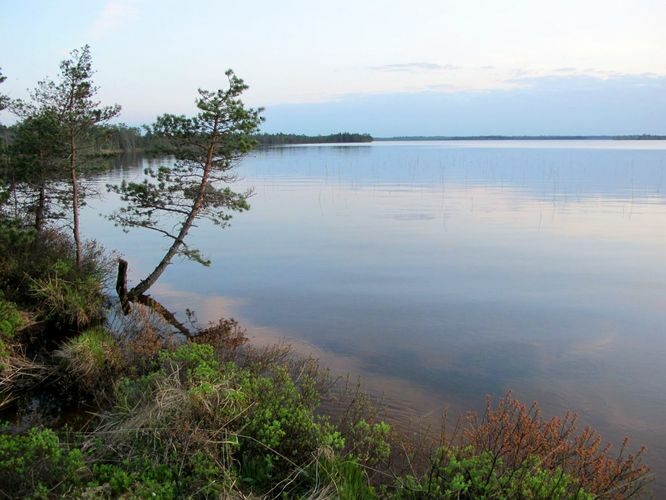 Maakond: Harjumaa Veekogu nimi: Tänavjärv Pildistamise aeg: 19. mai 2010 Pildistaja: H. Timm Pildistamise koht: teadmata Asimuut: