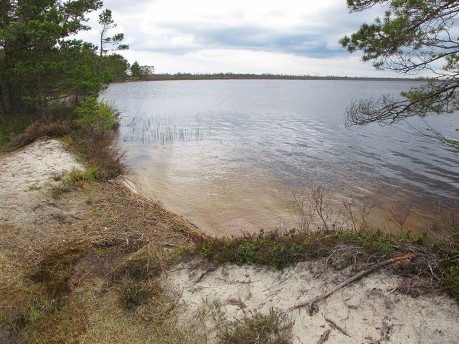 Maakond: Harjumaa Veekogu nimi: Tänavjärv Pildistamise aeg: 15. mai 2011 Pildistaja: H. Timm Pildistamise koht: teadmata Asimuut: