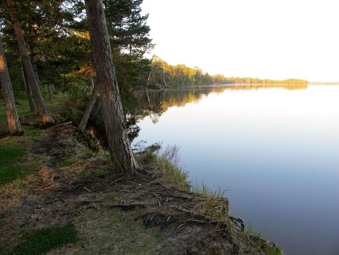 Maakond: Harjumaa Veekogu nimi: Tänavjärv Pildistamise aeg: 21. mai 2012 Pildistaja: H. Timm Pildistamise koht: teadmata Asimuut: