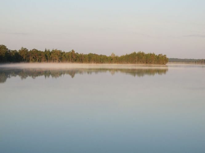 Maakond: Harjumaa Veekogu nimi: Tänavjärv Pildistamise aeg: 21. mai 2012 Pildistaja: H. Timm Pildistamise koht: teadmata Asimuut: