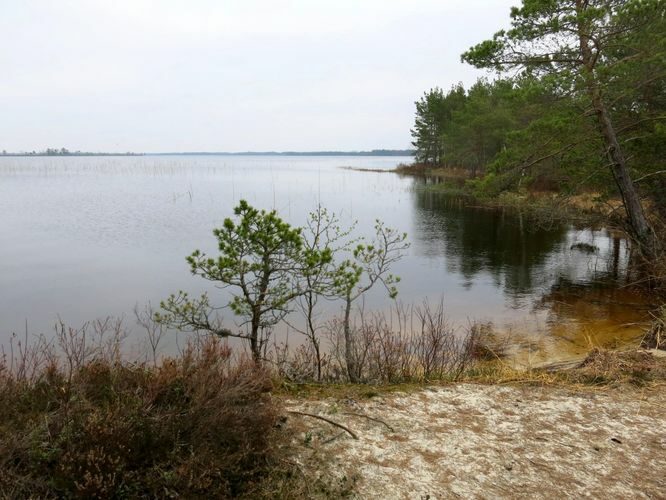 Maakond: Harjumaa Veekogu nimi: Tänavjärv Pildistamise aeg: 11. mai 2013 Pildistaja: H. Timm Pildistamise koht: teadmata Asimuut: