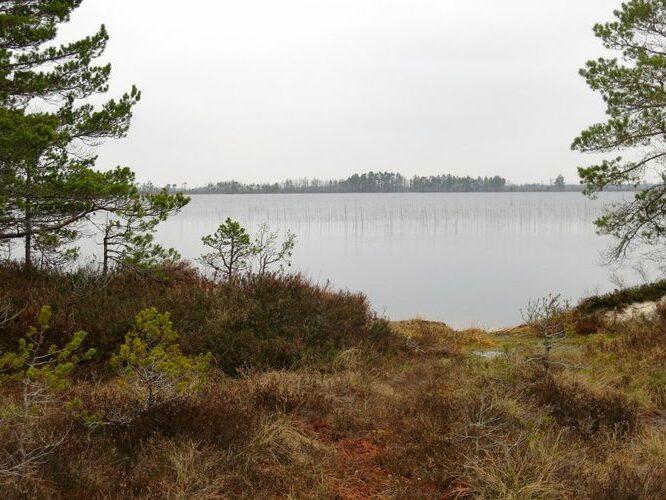 Maakond: Harjumaa Veekogu nimi: Tänavjärv Pildistamise aeg: 11. mai 2013 Pildistaja: H. Timm Pildistamise koht: teadmata Asimuut: