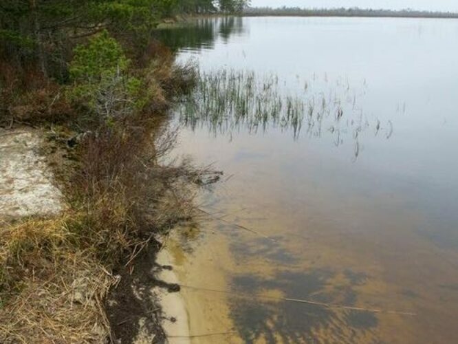 Maakond: Harjumaa Veekogu nimi: Tänavjärv Pildistamise aeg: 11. mai 2013 Pildistaja: H. Timm Pildistamise koht: teadmata Asimuut: