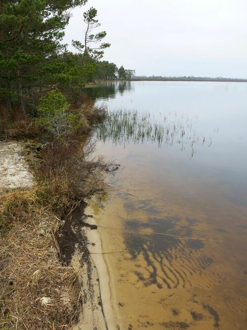 Maakond: Harjumaa Veekogu nimi: Tänavjärv Pildistamise aeg: 11. mai 2013 Pildistaja: H. Timm Pildistamise koht: teadmata Asimuut: