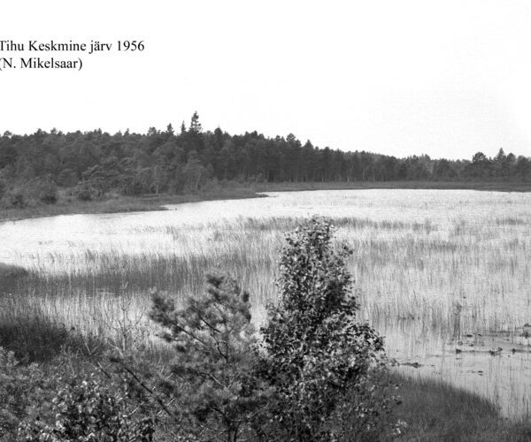 Maakond: Hiiumaa Veekogu nimi: Tihu Keskmine järv Pildistamise aeg: 1956 Pildistaja: N. Mikelsaar Pildistamise koht: teadmata Asimuut: