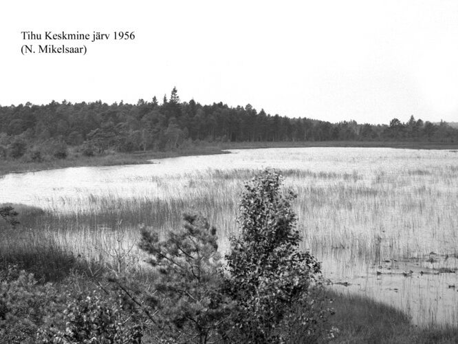 Maakond: Hiiumaa Veekogu nimi: Tihu Keskmine järv Pildistamise aeg: 1956 Pildistaja: N. Mikelsaar Pildistamise koht: teadmata Asimuut: