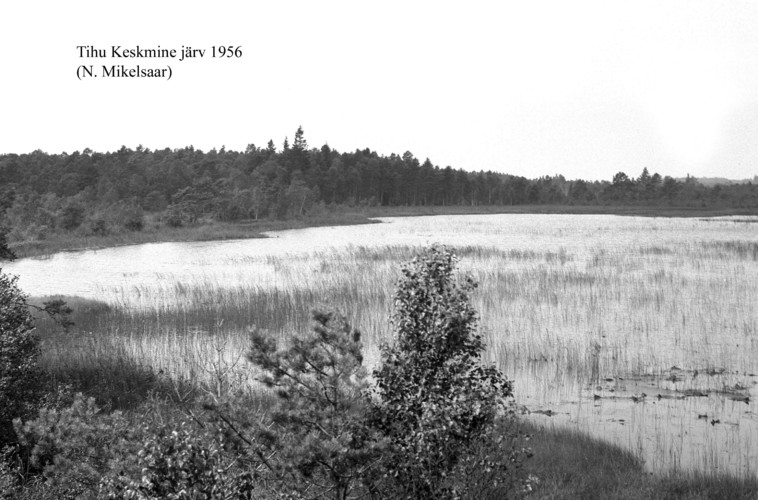 Maakond: Hiiumaa Veekogu nimi: Tihu Keskmine järv Pildistamise aeg: 1956 Pildistaja: N. Mikelsaar Pildistamise koht: teadmata Asimuut:
