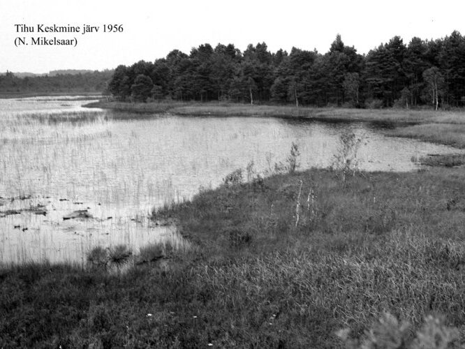 Maakond: Hiiumaa Veekogu nimi: Tihu Keskmine järv Pildistamise aeg: 1956 Pildistaja: N. Mikelsaar Pildistamise koht: teadmata Asimuut: