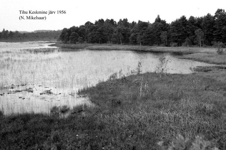 Maakond: Hiiumaa Veekogu nimi: Tihu Keskmine järv Pildistamise aeg: 1956 Pildistaja: N. Mikelsaar Pildistamise koht: teadmata Asimuut: