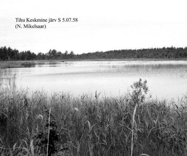 Maakond: Hiiumaa Veekogu nimi: Tihu Keskmine järv Pildistamise aeg: 5. juuli 1958 Pildistaja: N. Mikelsaar Pildistamise koht: teadmata Asimuut: