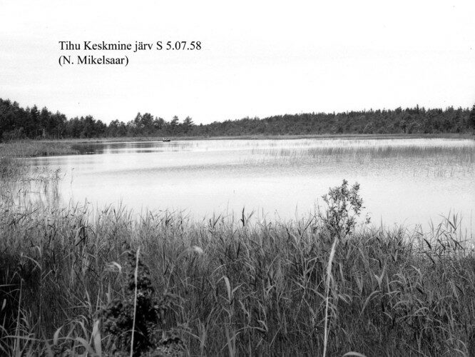 Maakond: Hiiumaa Veekogu nimi: Tihu Keskmine järv Pildistamise aeg: 5. juuli 1958 Pildistaja: N. Mikelsaar Pildistamise koht: teadmata Asimuut: