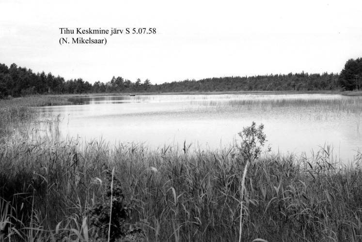Maakond: Hiiumaa Veekogu nimi: Tihu Keskmine järv Pildistamise aeg: 5. juuli 1958 Pildistaja: N. Mikelsaar Pildistamise koht: teadmata Asimuut: