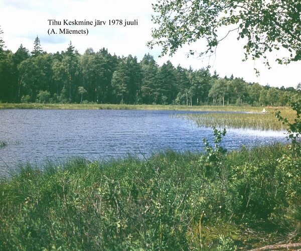 Maakond: Hiiumaa Veekogu nimi: Tihu Keskmine järv Pildistamise aeg: juuli 1978 Pildistaja: A. Mäemets Pildistamise koht: teadmata Asimuut: