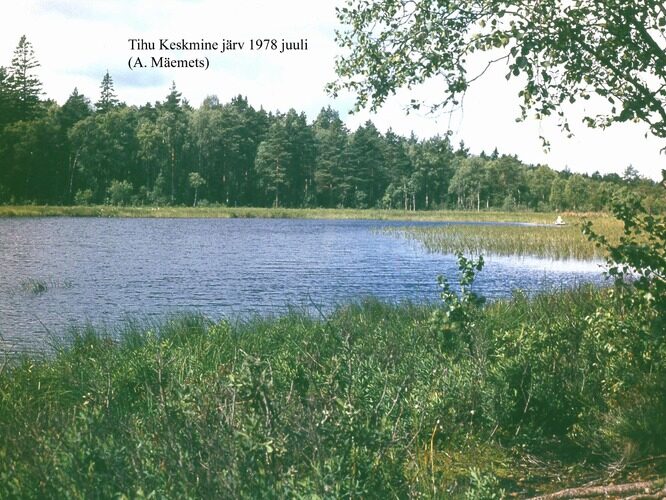 Maakond: Hiiumaa Veekogu nimi: Tihu Keskmine järv Pildistamise aeg: juuli 1978 Pildistaja: A. Mäemets Pildistamise koht: teadmata Asimuut: