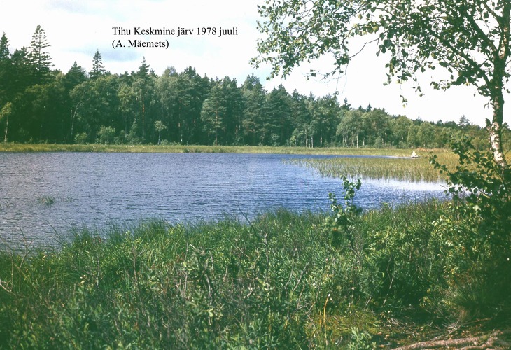Maakond: Hiiumaa Veekogu nimi: Tihu Keskmine järv Pildistamise aeg: juuli 1978 Pildistaja: A. Mäemets Pildistamise koht: teadmata Asimuut: