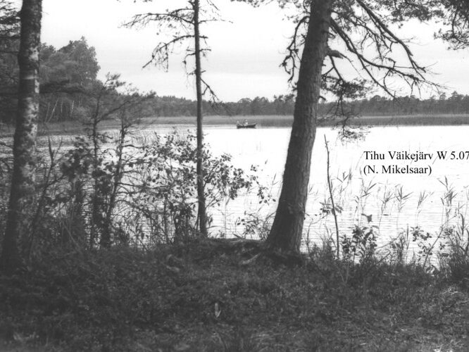 Maakond: Hiiumaa Veekogu nimi: Tihu Kolmas järv Pildistamise aeg: 5. juuli 1958 Pildistaja: N. Mikelsaar Pildistamise koht: W kaldalt Asimuut: