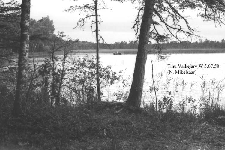 Maakond: Hiiumaa Veekogu nimi: Tihu Kolmas järv Pildistamise aeg: 5. juuli 1958 Pildistaja: N. Mikelsaar Pildistamise koht: W kaldalt Asimuut: