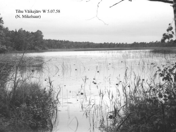 Maakond: Hiiumaa Veekogu nimi: Tihu Kolmas järv Pildistamise aeg: 5. juuli 1958 Pildistaja: N. Mikelsaar Pildistamise koht: W kaldalt Asimuut: