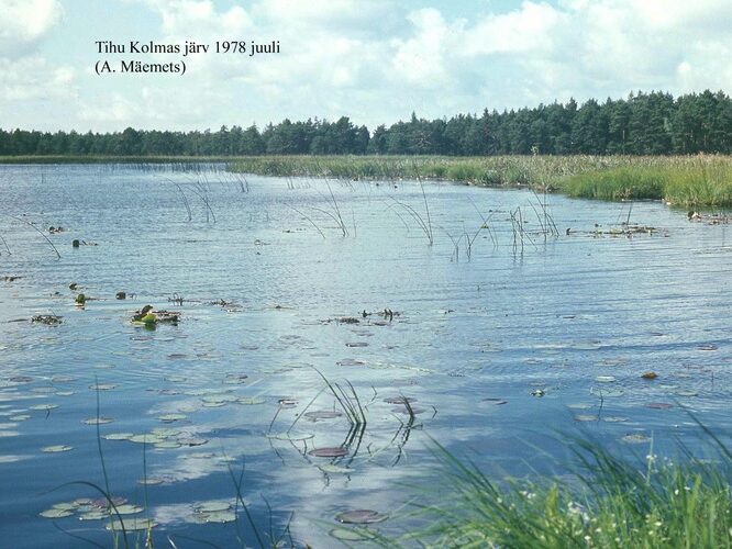 Maakond: Hiiumaa Veekogu nimi: Tihu Kolmas järv Pildistamise aeg: juuli 1978 Pildistaja: A. Mäemets Pildistamise koht: teadmata Asimuut: