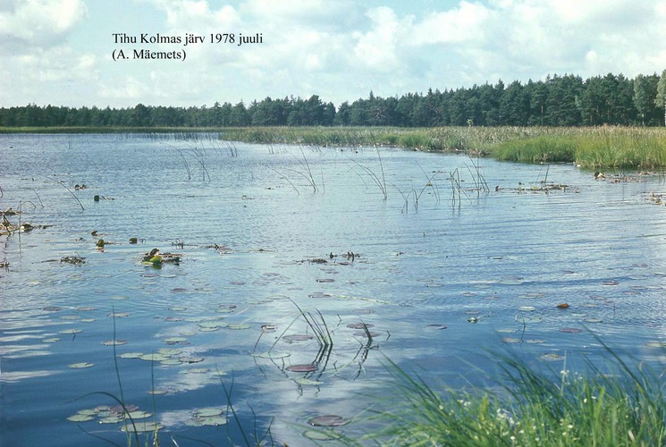 Maakond: Hiiumaa Veekogu nimi: Tihu Kolmas järv Pildistamise aeg: juuli 1978 Pildistaja: A. Mäemets Pildistamise koht: teadmata Asimuut: