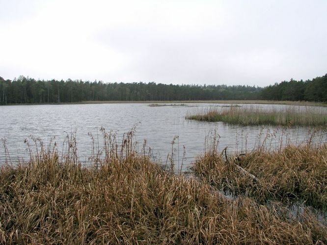 Maakond: Hiiumaa Veekogu nimi: Tihu Kolmas järv Pildistamise aeg: 24. mai 2003 Pildistaja: H. Timm Pildistamise koht: teadmata Asimuut: