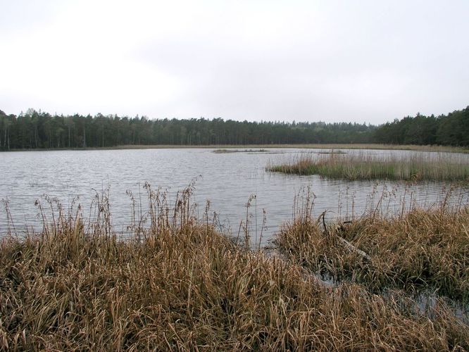 Maakond: Hiiumaa Veekogu nimi: Tihu Kolmas järv Pildistamise aeg: 24. mai 2003 Pildistaja: H. Timm Pildistamise koht: teadmata Asimuut: