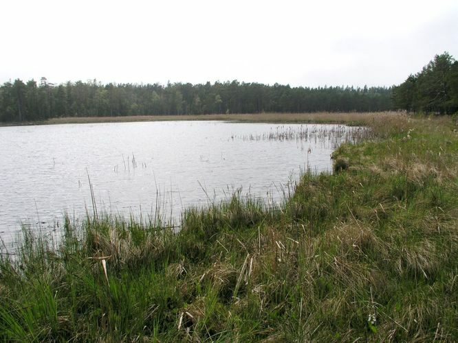 Maakond: Hiiumaa Veekogu nimi: Tihu Kolmas järv Pildistamise aeg: 24. mai 2003 Pildistaja: H. Timm Pildistamise koht: teadmata Asimuut: