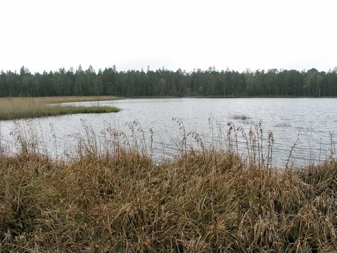 Maakond: Hiiumaa Veekogu nimi: Tihu Kolmas järv Pildistamise aeg: 24. mai 2003 Pildistaja: H. Timm Pildistamise koht: teadmata Asimuut: